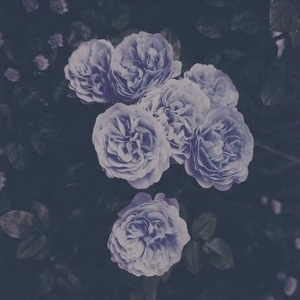 国产美女裸露视频网站
