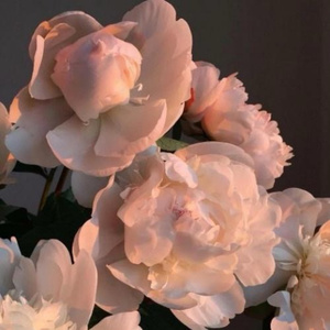 国产美女裸露视频网站
