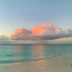 国产美女裸露视频网站
