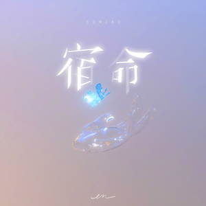 国产美女裸露视频网站
